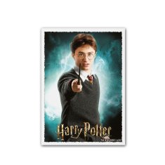 Dragon Shield WB100 Matte Art - Čarovniški svet - Harry Potter - ovitki za kartice