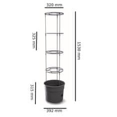 botle 3x lonec Paradižnik Jagode Fižol Kumare 39,2 cm+ Zemlja, univerzalni substrat 75L