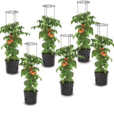 botle 6x Lonec Paradižnik jagode fižol kumare 29,5cm+ Zemlja, univerzalni substrat 60L
