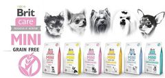 Brit Care Dog Mini Grain Free Hair & Skin Salmon 400 g