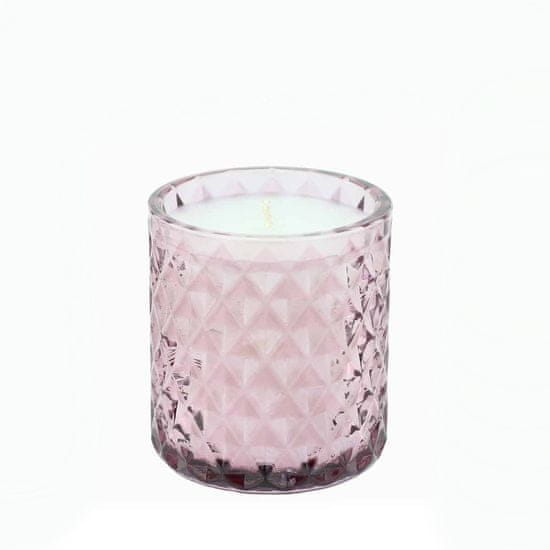 Ashleigh & Burwood Dišeča sveča v steklu THE HERITAGE COLLECTION - VELVET PLUM & CASSIS