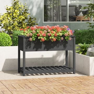 Vidaxl vidaXL Cvetlični lonec s polico siv 111,5x54x81 cm masiven borov les