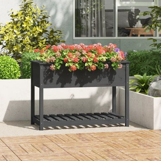 Vidaxl Visoka greda s polico siva 111,5x54x81 cm trdna borovina