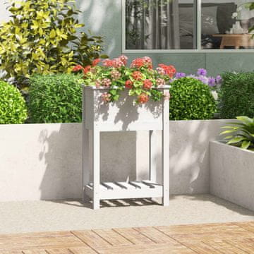 Vidaxl vidaXL Cvetlični lonec s polico bel 54x34,5x81 cm masiven borov les