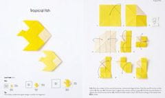Rayher.	 Knjiga Simple Origami