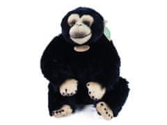 Rappa Plišasta opica, ki sedi 25 cm