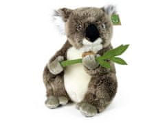 Rappa Plišasta koala 30 cm
