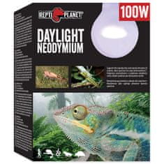 REPTI PLANET Žárovka Daylight Neodymium 100 W