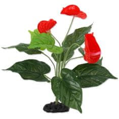 REPTI PLANET Rostlina kvetoucí Anthurium 40 cm 1 ks