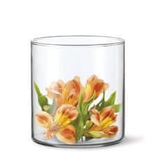 Simax Steklena vaza DRUM I 17 X 12 cm, komplet 6 kosov