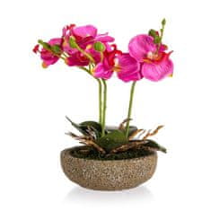 HOME DECOR Fuksija v betonskem loncu 21,5 x 14 cm