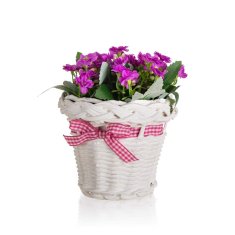 HOME DECOR DOMOVSKA DEKORACIJA Cvetje v košari iz ratana s trakom 13 x 14 cm, vijolična