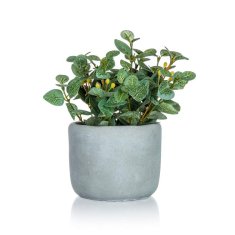 HOME DECOR DOM DEKOR Umetno cvetje v betonskem loncu EUCALYPTUS 19 x 18 cm