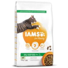 IAMS IAMS Cat Adult Lamb 10 kg