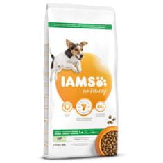 IAMS IAMS Dog Adult Small & Medium Lamb 12 kg