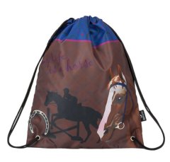 Bagmaster Dekliška šolska torba za copate ali športne copate GALAXY 9 B BLUE/BROWN/PINK