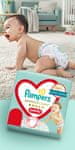 Pampers zaščitne hlačke