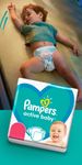 Pampers BabyDry