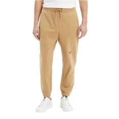 Calvin Klein Hlače rjava 196 - 200 cm/34/33 J30J320590GV7