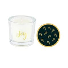 Ashleigh & Burwood Božična dišeča sveča SAY IT WITH SCENT Christmas Spice - Joy, 12 h