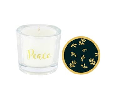 Ashleigh & Burwood Božična dišeča sveča SAY IT WITH SCENT Christmas Spice - Peace, 12 h