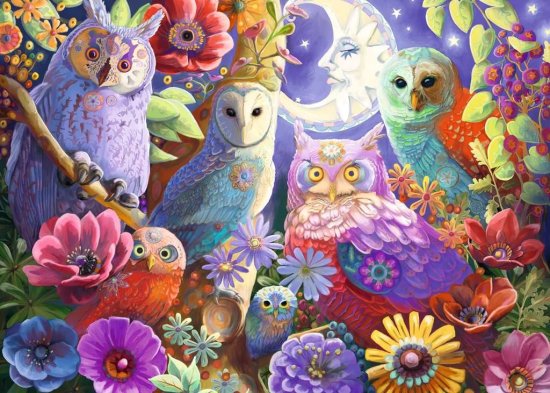 Ravensburger Nočna sova Puzzle EXTRA 300 kosov