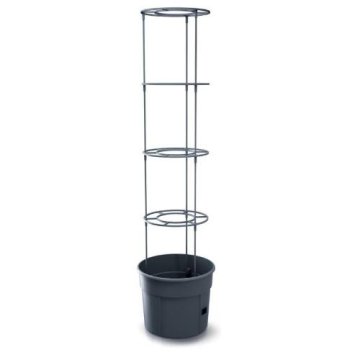 Prosperplast Sadilnik za paradižnik, 29,5 cm, max. višina: 115,2 cm, antracit, TOMATO GROWER