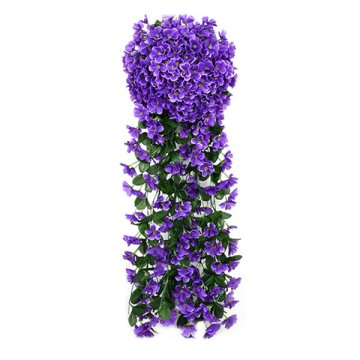 Cool Mango Dekorativna viseča roža – Hangyplant