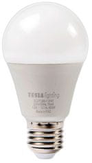 Tesla Lighting BULB LED žarnica, 12W, E27, 230 V, 806 lm, 25 000h, 6500K, hladna bela svetloba, 220°