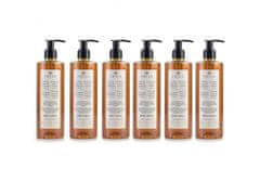 PRIJA PRIJA šampon/tekoči gel za prhanje ginseng 6x380ml