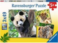 Ravensburger Puzzle Panda, tiger in lev 3x49 kosov