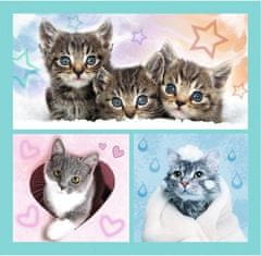 Trefl Puzzle Sweet kittens 3v1 (20,36,50 kosov)