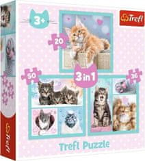 Trefl Puzzle Sweet kittens 3v1 (20,36,50 kosov)