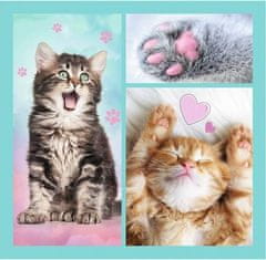 Trefl Puzzle Sweet kittens 3v1 (20,36,50 kosov)