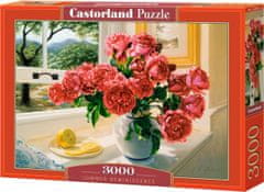 Castorland Puzzle Spomin na poletje 3000 kosov