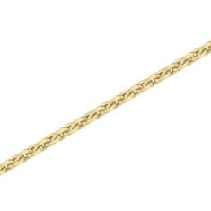 Brilio Anker CN0435Y verižica iz rumenega zlata (Dolžina 42 cm)