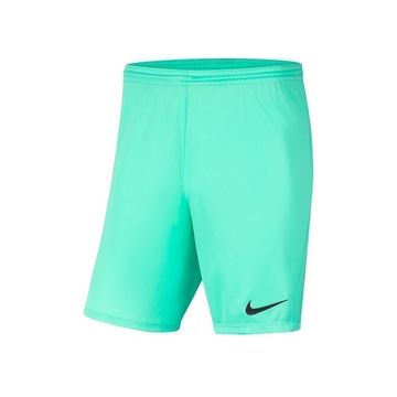 Nike Hlače zelena 173 - 177 cm/S Dry Park Iii