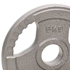 Vidaxl Olimpijske uteži 2 kosa 10 kg lito železo