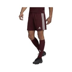 Adidas Hlače obutev za trening bordo rdeča 182 - 187 cm/XL Squadra 21