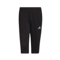 Adidas Hlače obutev za trening črna 188 - 193 cm/XXL Entrada 22