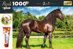 Trefl Set sestavljank 2 v 1 Frizijski konj 1000 kosov z lepilom
