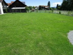Glaeser trava z volno, za suha območja, 1 x 1.2 m (600109)