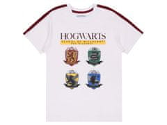 sarcia.eu Harry Potter Fantovska pižama s kratkimi hlačami, belo-bordo poletna pižama 9 lat 134 cm
