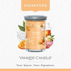 Yankee Candle Dišeča sveča Signature Tumbler in glass large Mango Ice Cream 567g