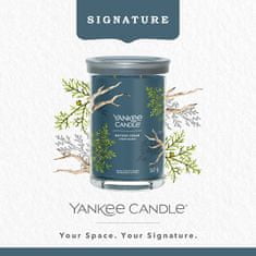 Yankee Candle Dišeča sveča Signature Tumbler in glass large Bayside Cedar 567g