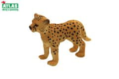 A - Slika Gepardov mladič 5,5 cm