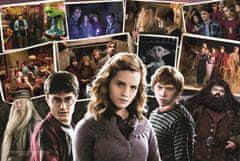 Trefl Puzzle Harry Potter s prijatelji 160 kosov
