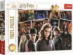 Trefl Puzzle Harry Potter s prijatelji 160 kosov