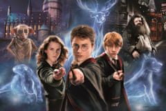 Trefl Puzzle Super Shape XL Čarovniški svet Harryja Potterja 160 kosov