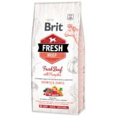 Brit BRIT Fresh Beef with Pumpkin Puppy Large 12 kg
